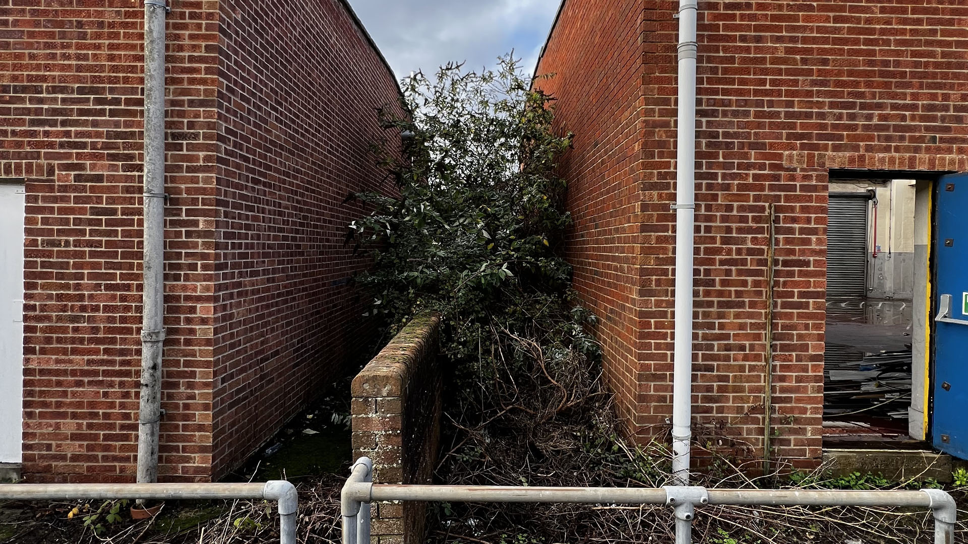 Who Should You Contact First — The Council, a Surveyor, or Your Neighbour Middlesbrough?